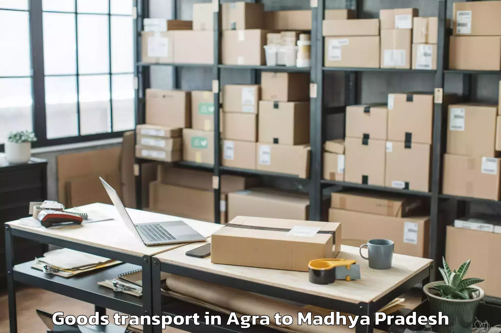 Discover Agra to Mandsaur University Mandsaur Goods Transport